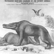 Illustration for article titled Strange 19th Century Drawings of Dinosaurs and Other Extinct Animals